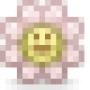 flower-face.png