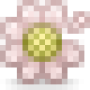 flower-pluck.png