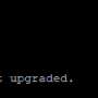 upgrade_linux_server_6.png